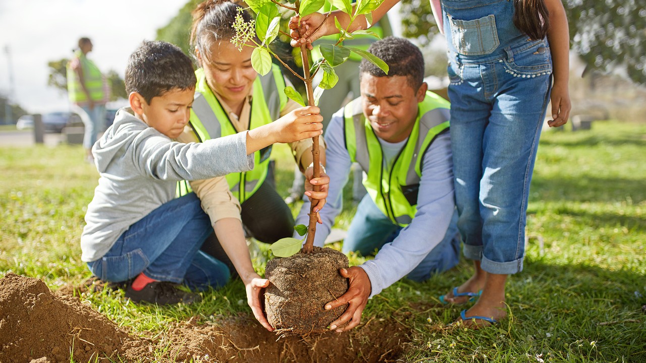 A team planting tree together; image used in help and support