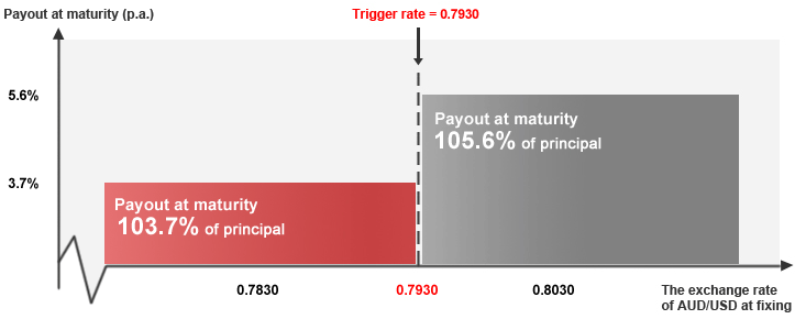 The diagram displays what a CPI placement could include. It is an illustration of the table previously shown, which shows how a customer receives upon maturity - when it reaches at or above the trigger rate 0.7930 , or when it reaches below the trigger rate 0.7930