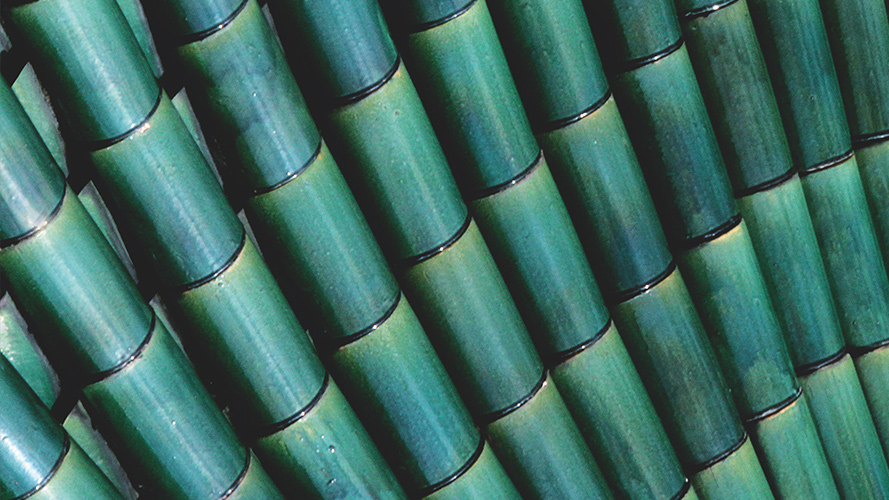 绿色翠竹；图片使用于汇丰尚玉海外的专属伙伴页面。