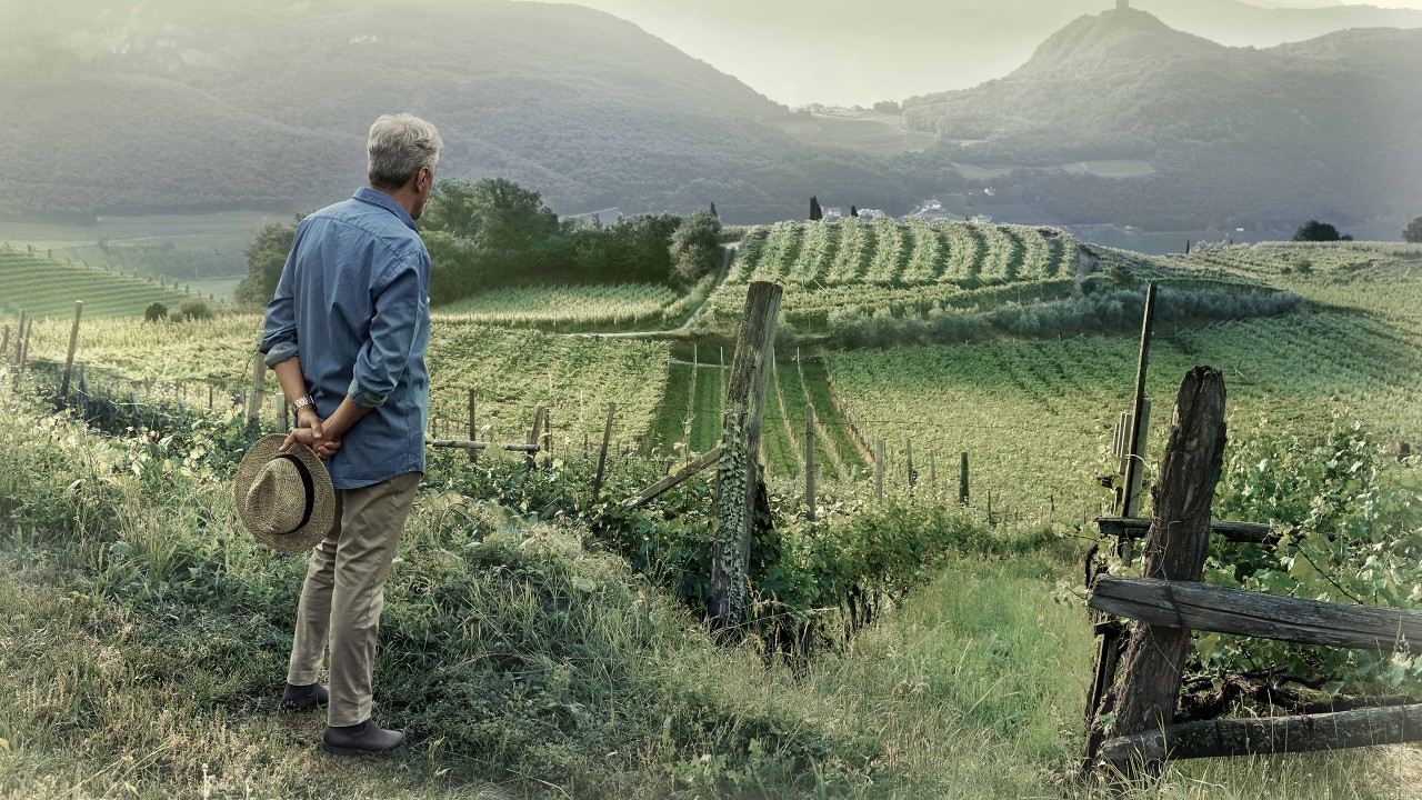 Winemaker in hillside; image used for HSBC Jade International Partner .