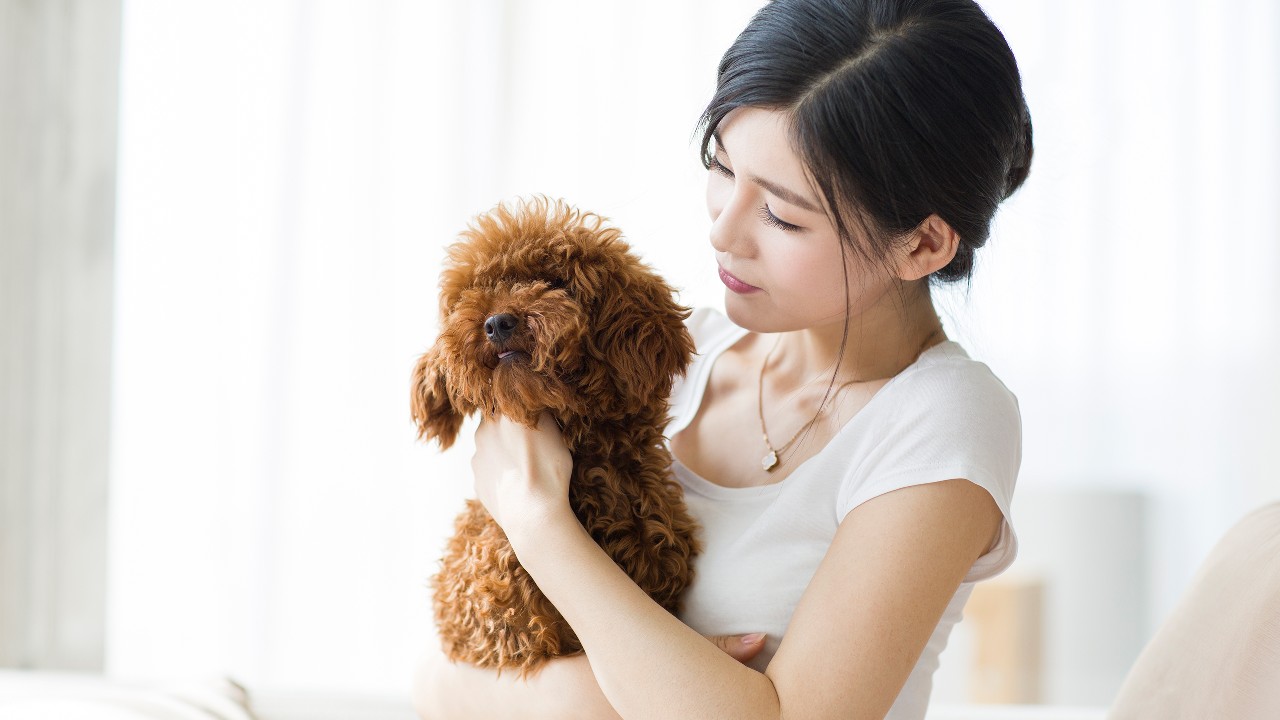 A lady is taking care her dog, image used for "How to take a vacation with your furry friend" article