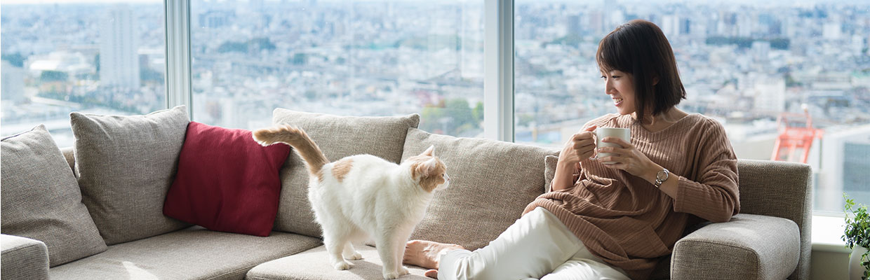 A woman and her cat are relaxing in an apartment; image used for bonds/CDs product