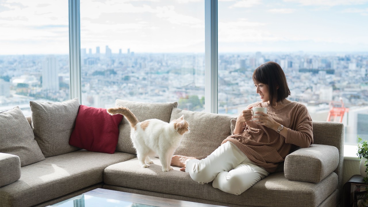 A woman and her cat are relaxing in an apartment; image used for bonds/CDs product